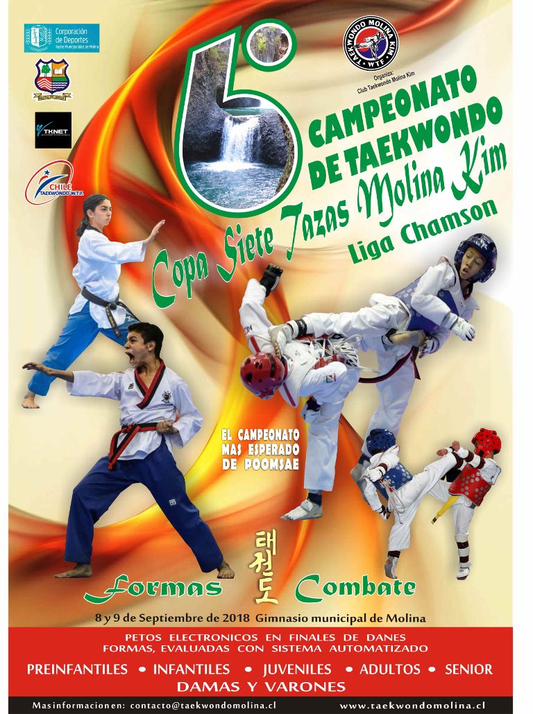 6º Campeonato de Taekwondo Copa Siete Tazas Molina Kim