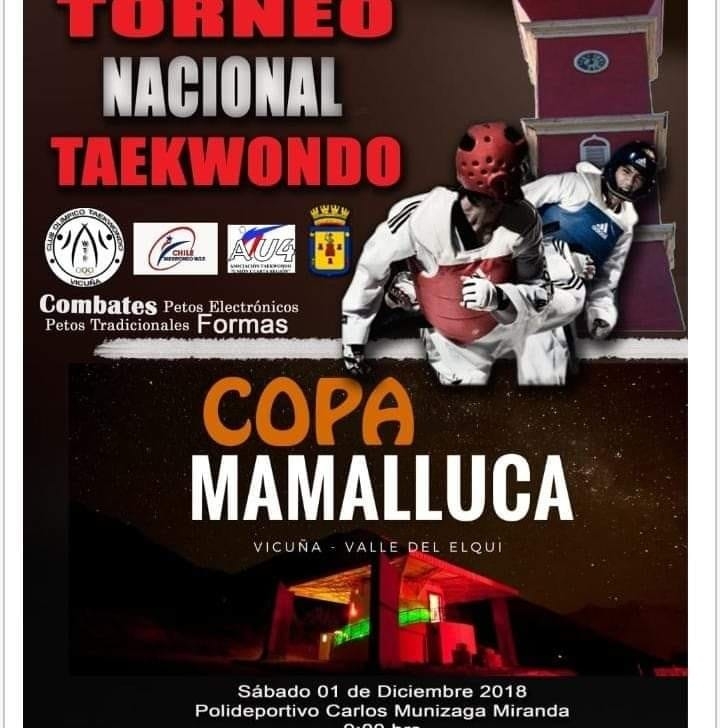 TORNEO NACIONAL DE TAEKWONDO COPA MAMALLUCA