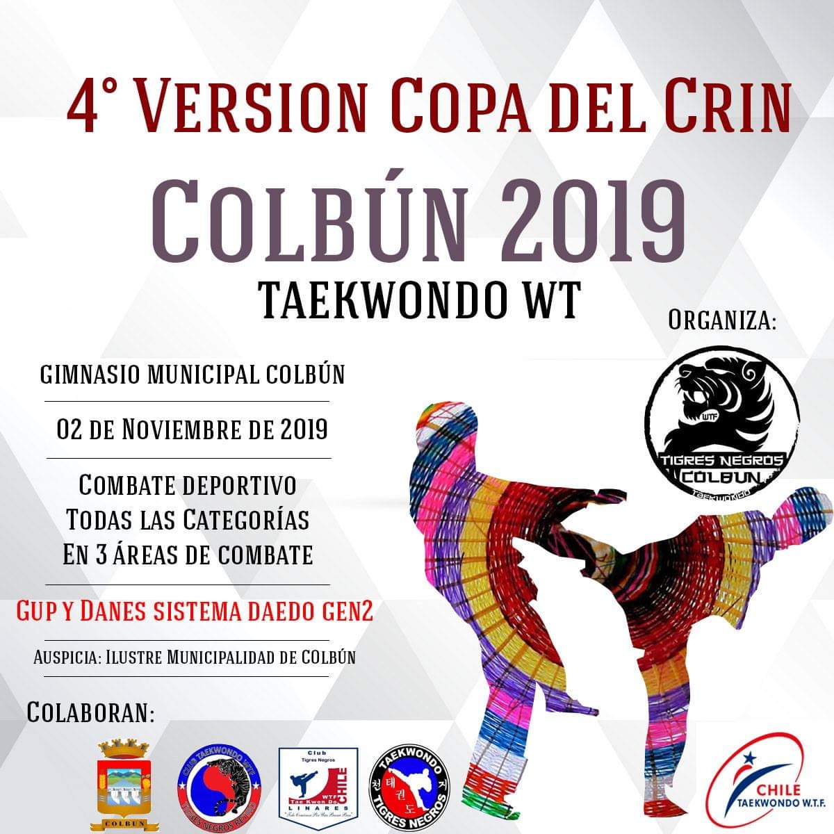 4ª VersiÓN Copa Del Crin Colbún 2019