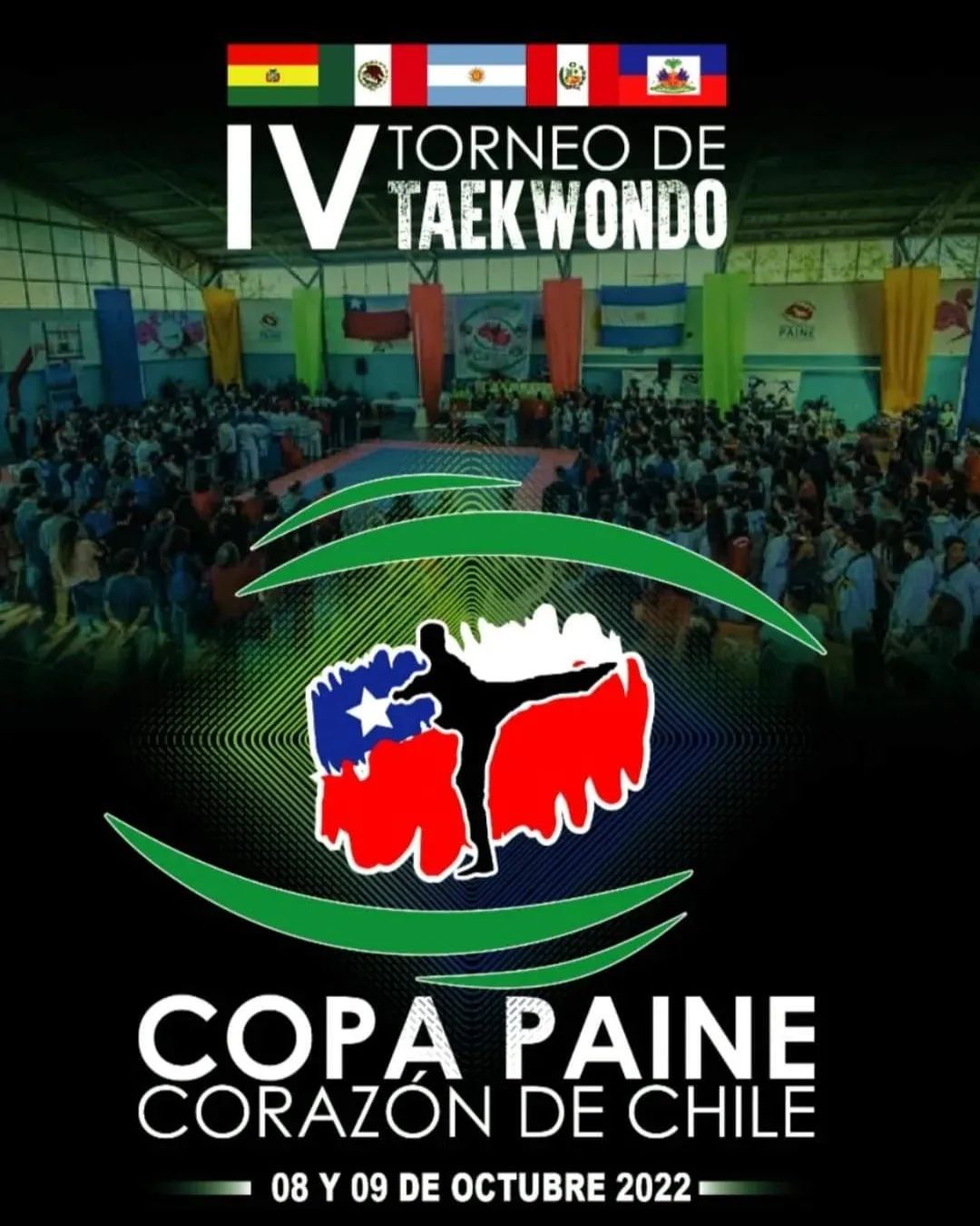 IV Torneo de Taekwondo Copa Paine