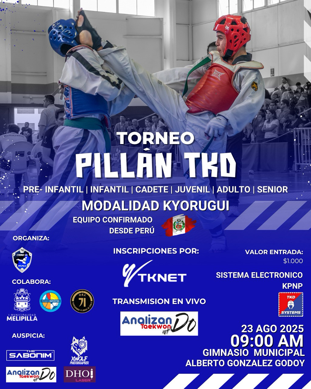 TORNEO PILLÁN TKD 2025