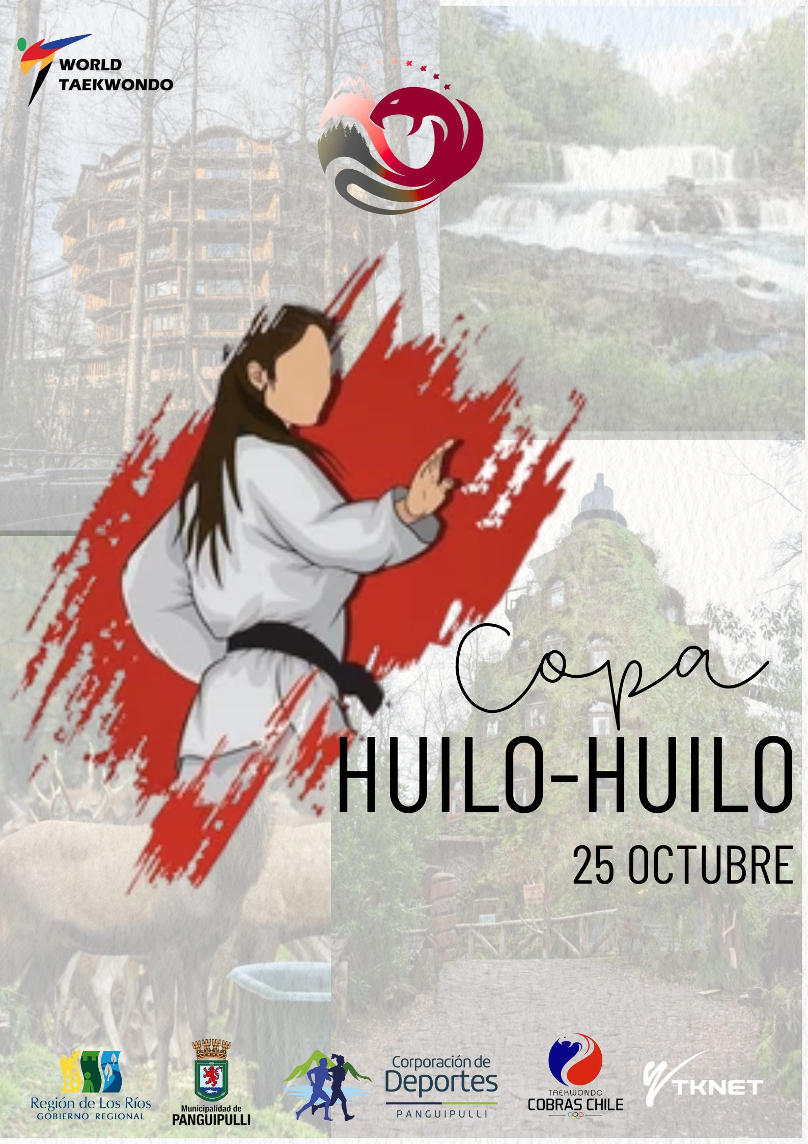 COPA HUILO HUILO