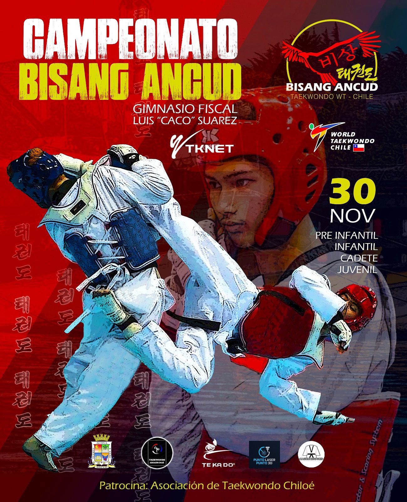 Copa Bisang Ancud