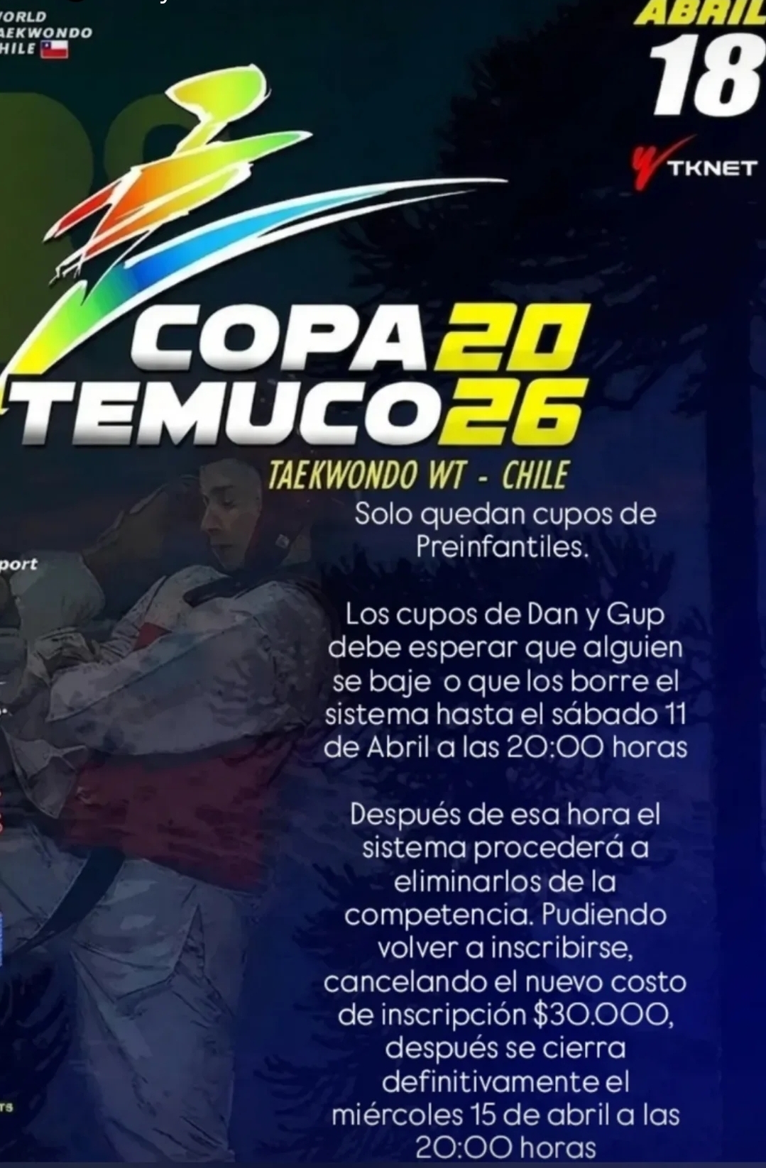 IX Copa Temuco