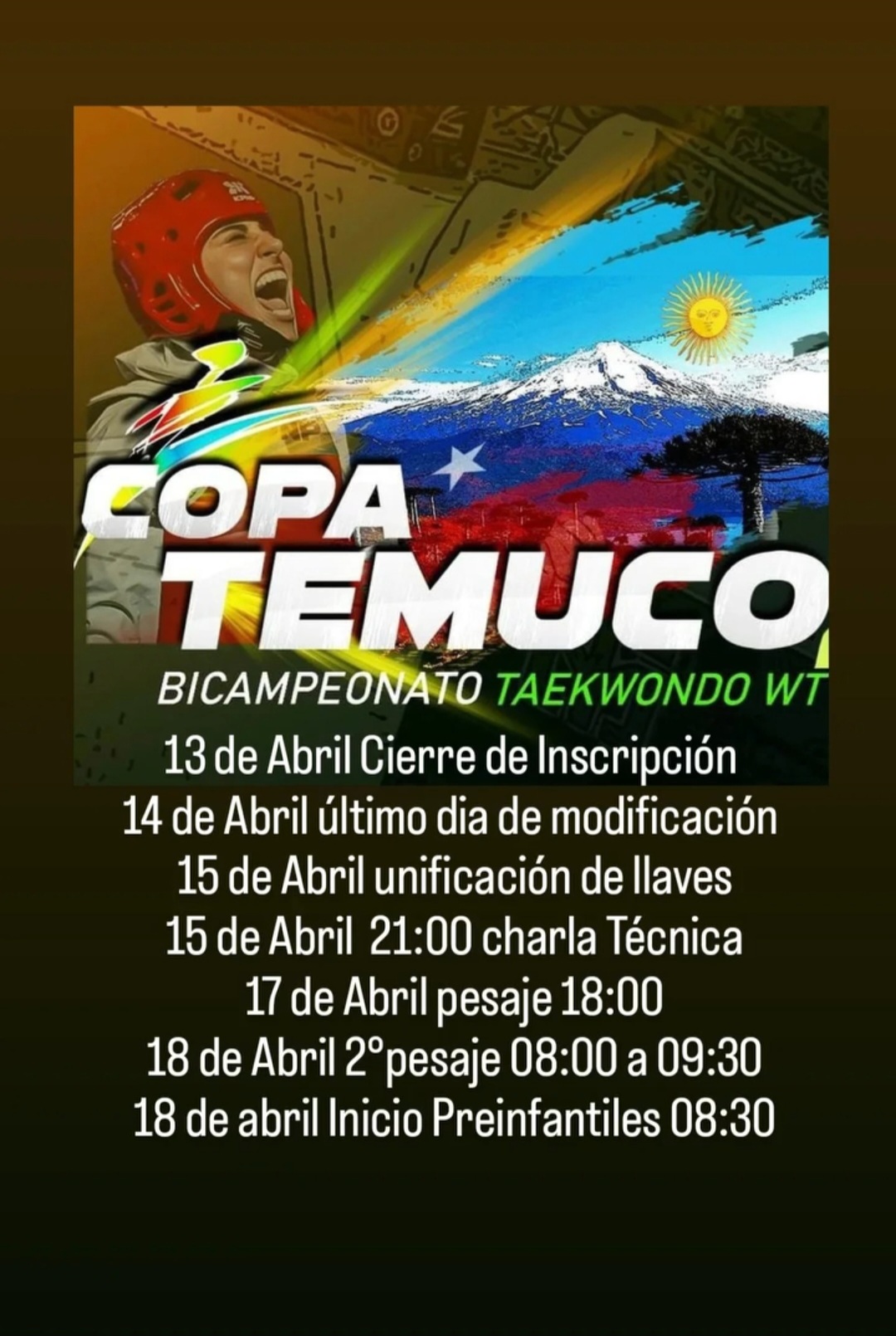 IX Copa Temuco