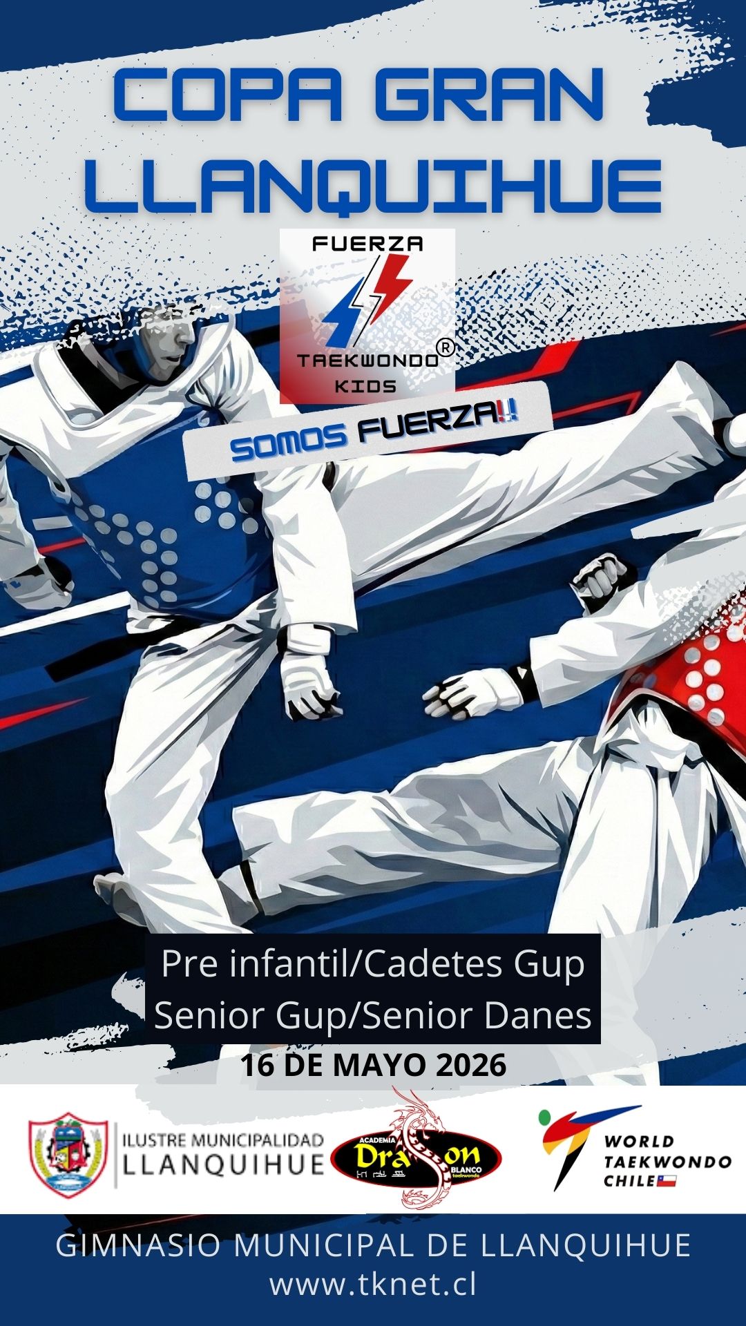 Copa Gran LLanquihue