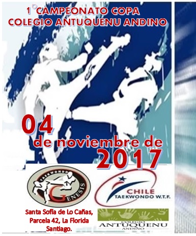 COPA Colegio Antuquenu Andino 2017