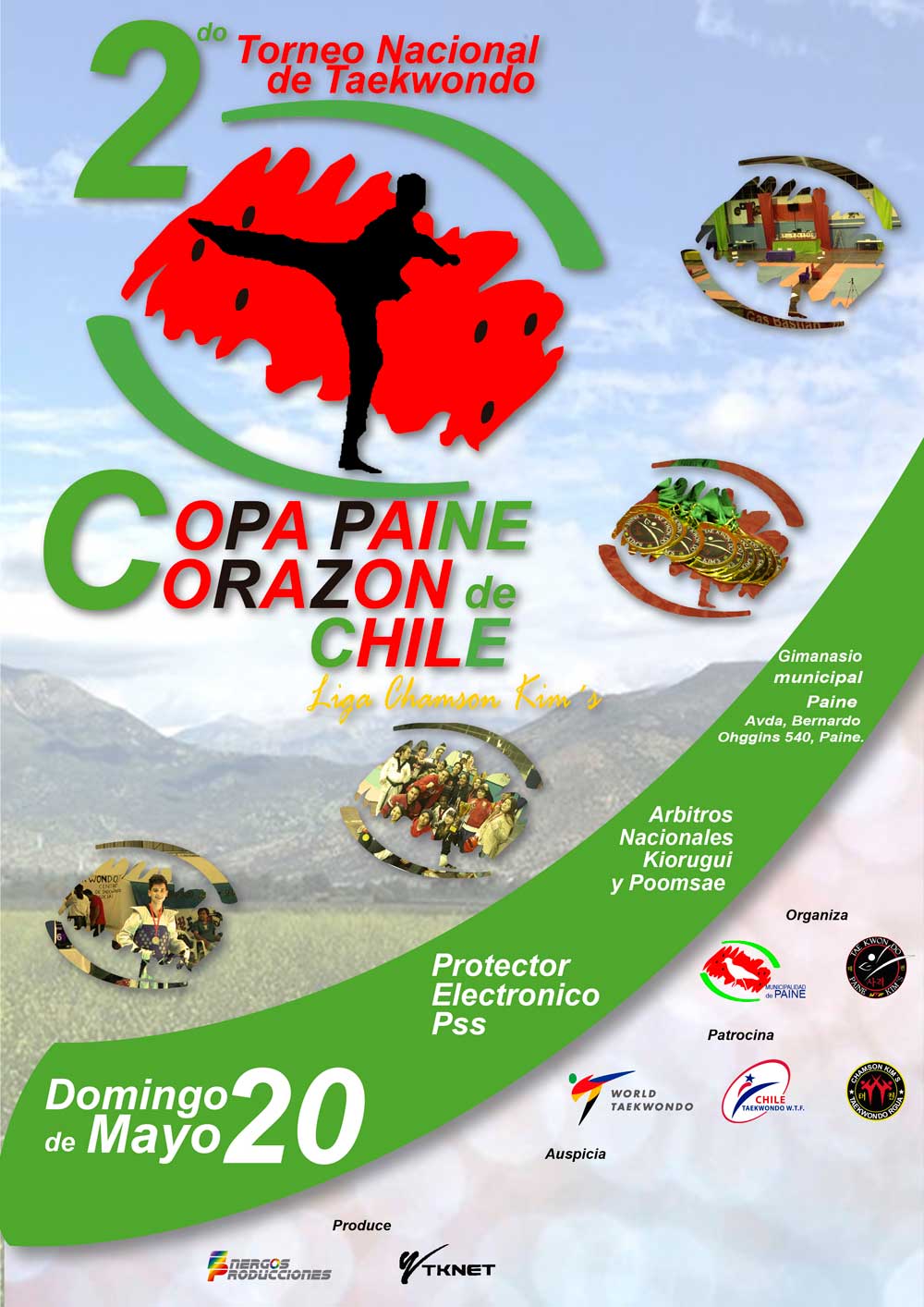 2° torneo nacional de Taekwondo Copa Paine corazón de Chile